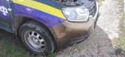 Renault Duster фото 3